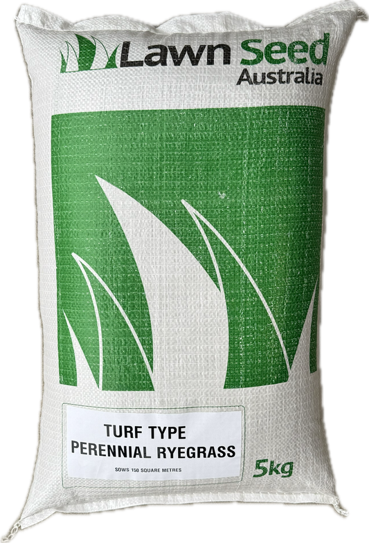 Turf Type Perennial Ryegrass 5KG