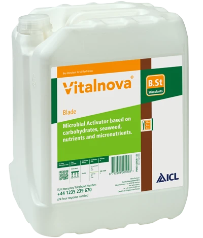 Vitalnova Blade