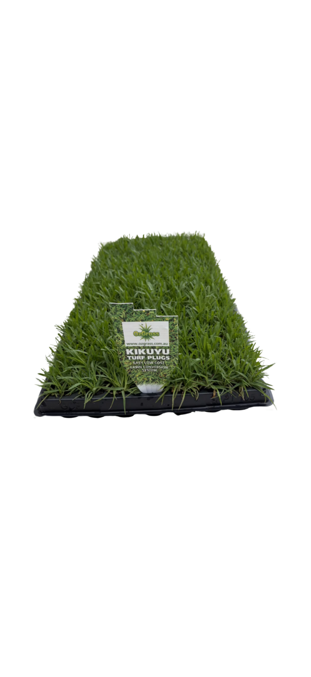 "OzGrass Kikuyu turf plugs 100 per tray delivered Australia"