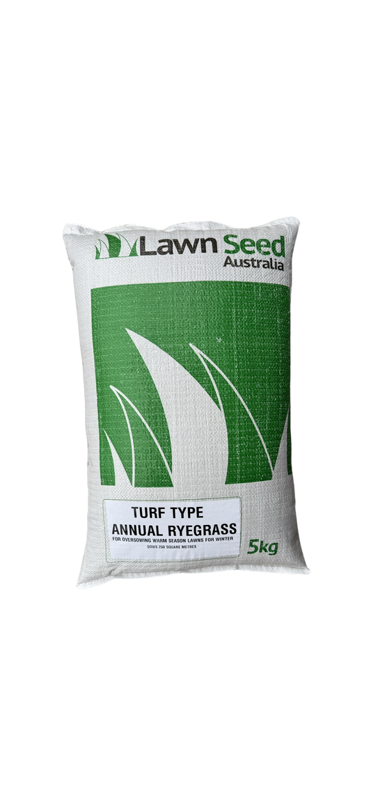 Turf Type Annual Ryegrass 5kg Keep your lawn green all winter. Covers 250m² oversow | Sow March–May