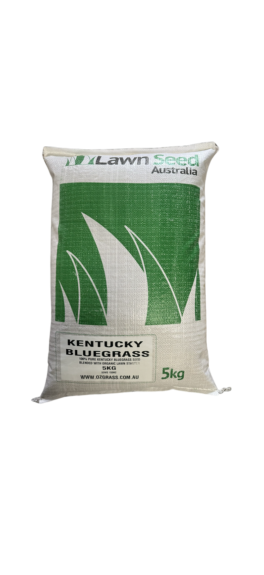 "100% Kentucky Bluegrass 5KG seed bag with organic lawn starter | OzGrass"