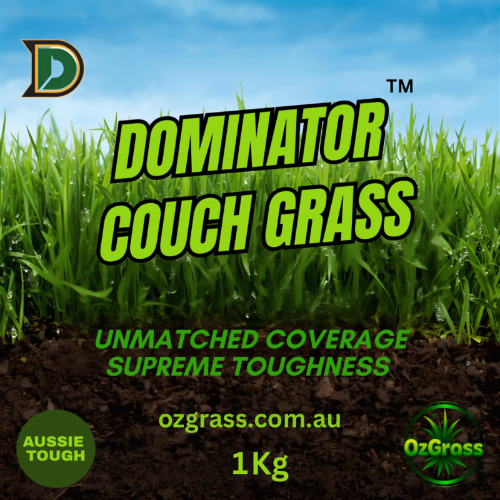 Dominator Couch Grass label - OzGrass exclusive Bermuda couch grass seed