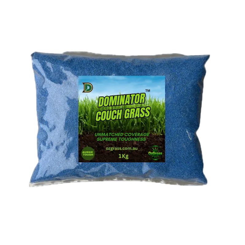 Dominator Couch Grass 1KG bag - premium Bermuda couch seed by OzGrass
