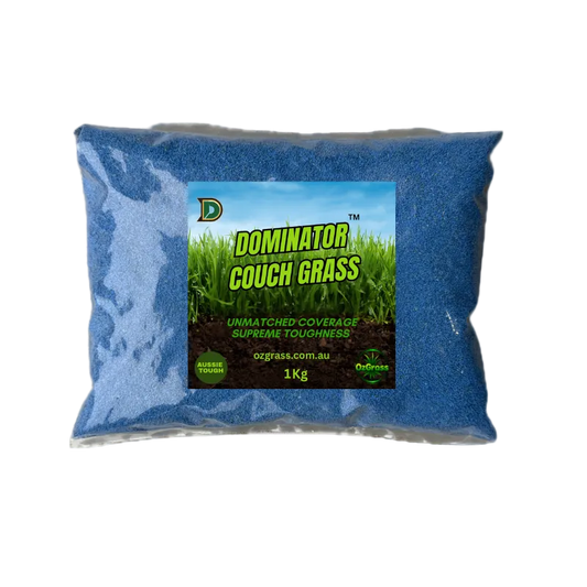 Dominator Couch Grass 1KG bag - premium Bermuda couch seed by OzGrass