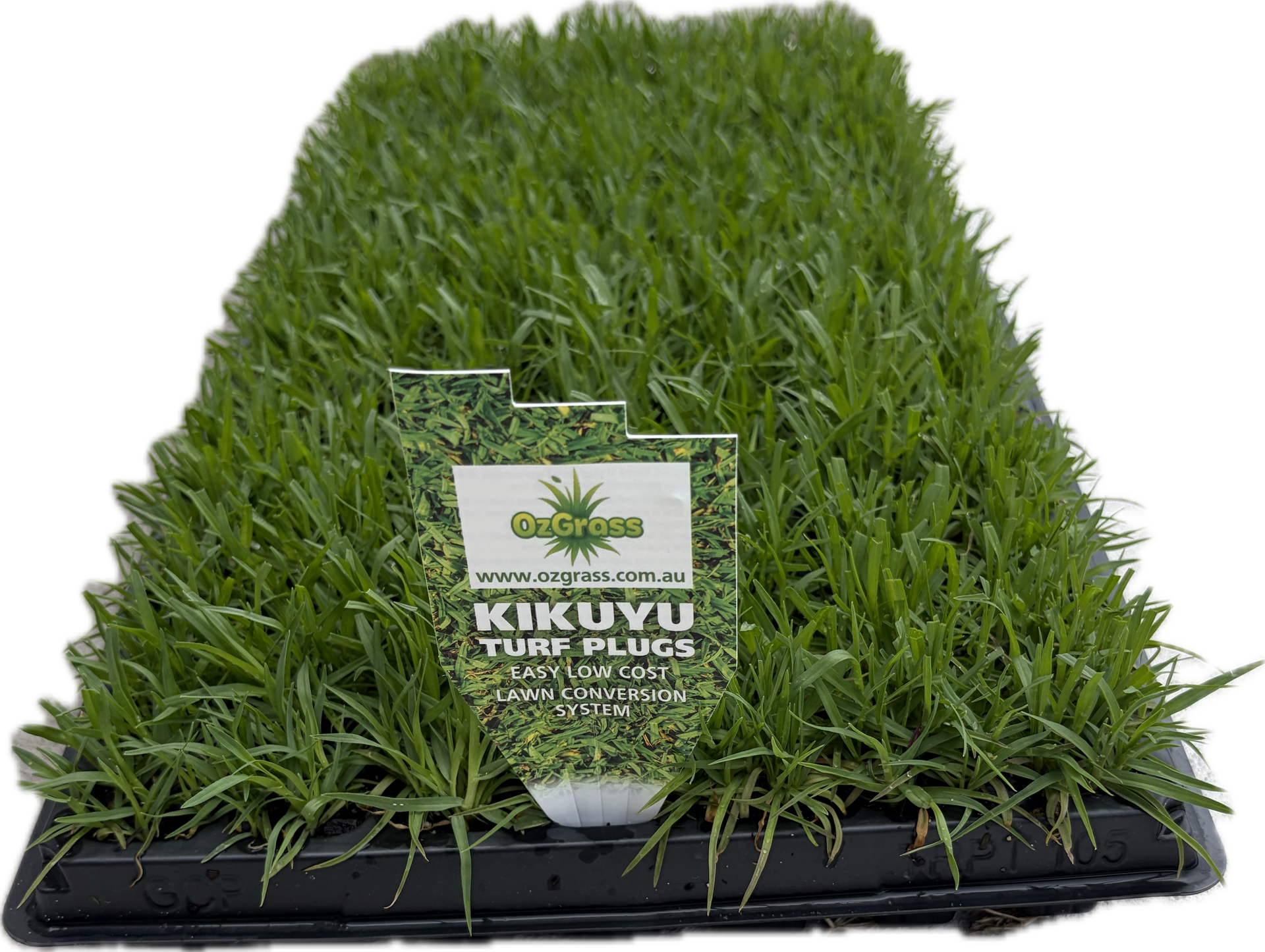Kikuyu Turf Plugs 100 Pack | Easy Lawn Conversion | OzGrass