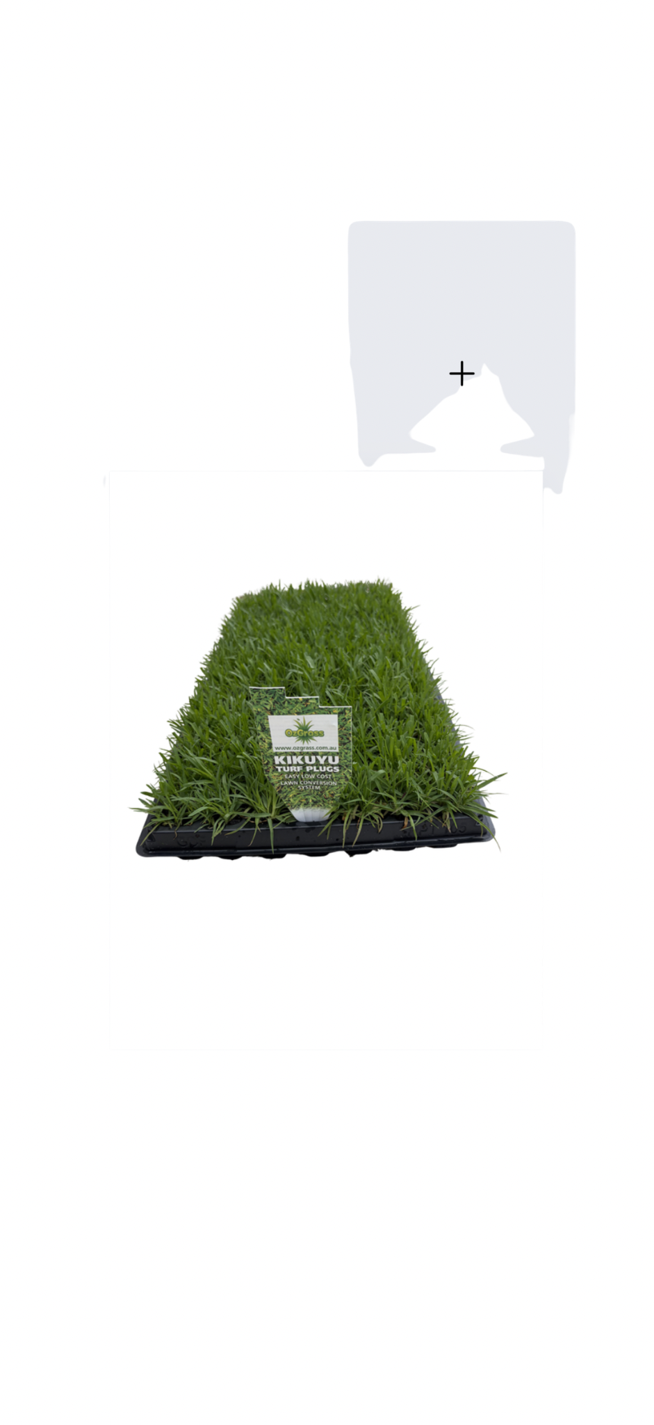 OzGrass Kikuyu Turf Plugs        (100 per tray)
